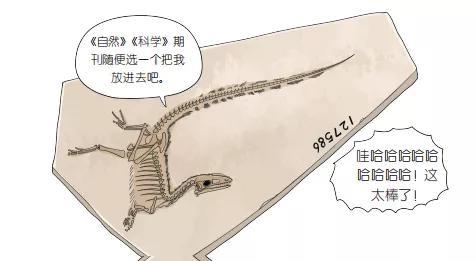 中华龙鸟的化石 | 《恐龙帝国》