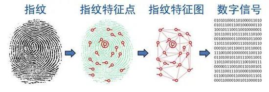 不会吧！一块橘子皮就能解锁你的手机！