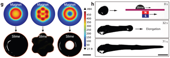 这可能是你见过最丑机器人：像“毒液”般随意变形还能重生