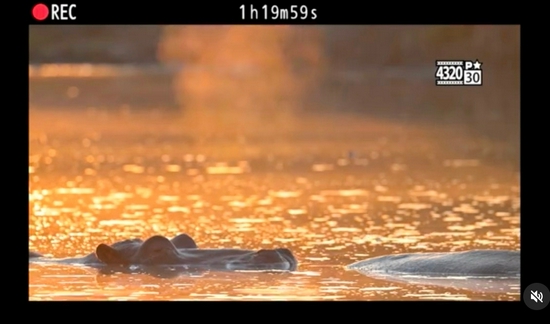 期待更多惊喜 尼康Z9消息汇总