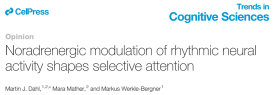 怎么总是忍不住玩手机……可能这一小撮细胞出了问题