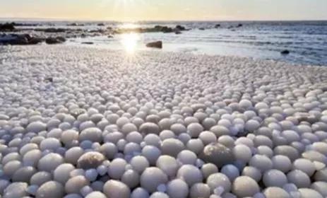 海滩上一颗颗浑圆乳白的冰球整齐排列 （图片来源：快资讯）