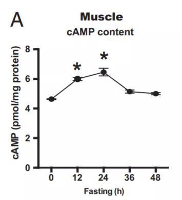 ▲禁食也有类似的效果（图片来源：参考资料[1]）