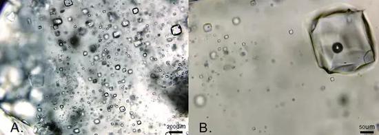 奥陶纪石盐中的原生（左）与次生流体包裹体（右）
