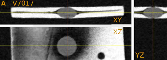 中等放大倍数（118x）显微镜的成像结果，镜片更扁