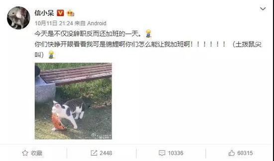專訪“錦鯉”信小呆:中一個億后 擔(dān)心自己的考試運