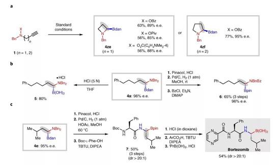  ▲1，1-氨基（氨基硼烷基）化的合成应用（图片来源：参考资料[1]）