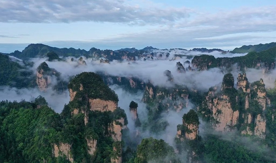2022年4月13日，湖南张家界，飘渺的云雾穿梭萦绕在绿意盎然的峰林沟壑间。图/视觉中国