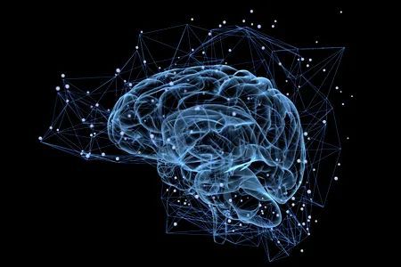 人类为什么最聪明?剑桥大学团队发现关键线索(图2) 人类为什么最聪明?剑桥大学团队发现关键线索(图2)