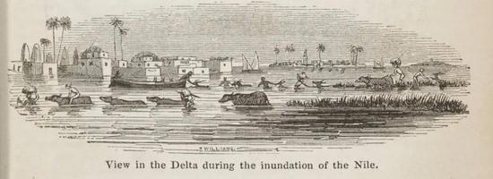 埃及建立在尼罗河的冲积平原之上，每年都会受到洪水的侵袭，这是1875年人们记录的一次尼罗河洪水泛滥事件 图/wikicommons