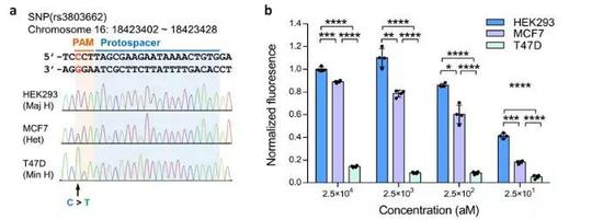 利用CRISDA技术对aM量级的靶分子进行单核苷酸多态性（SNP）扩增检测。（a）不同细胞株基因组中rs3803662位点的测序验证；（b）利用CRISDA技术对该SNP位点进行高灵敏度扩增检测。（图片来源：论文）