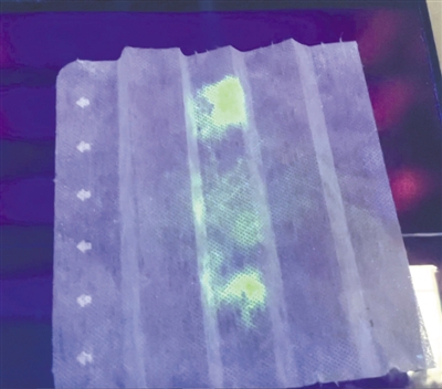 新冠病毒样本在紫外线照射下会发光。图片来源：《日本时报》网站