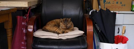 宽幅带来了不同的视角，不同的观察方式