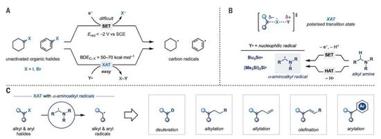 《科学》:自由基化学新突破,卤代烃氧化不再