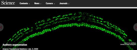  ▲这项研究获得了《科学》官网的推荐（图片来源：Science截图）