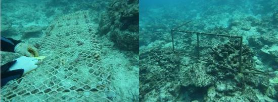 铁架做成的珊瑚苗圃（左）与台风过后被破坏的铁架（右）（图片来源：中国科学院南海研究所）