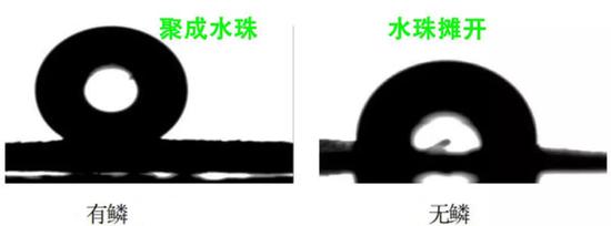 （图片来源：参考文献[5]及作者制作）