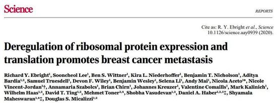哈佛医学院科学家发现影响乳腺癌转移的关键因素