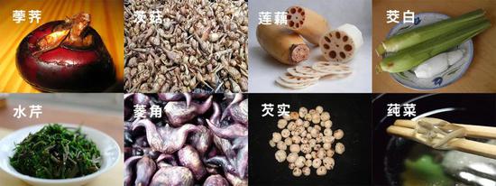 各具风味的江南“水八仙”。图片：Joscha Feth & Ping an Chang & FotoosRobin & Micromesistius & Gidiyorum & Prattflora & Miansari66 & Daiju Azuma / wikimedia