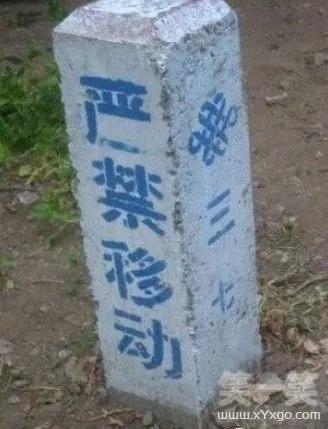 互联网公司的战火早就烧到农村的墙上了(图5) 电商那对巨头CP再次拿出自己的看家本领在这个新战场上攻城掠地: