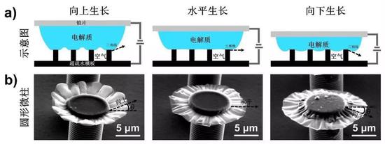 这可是根据壁虎、章鱼等生物研制出来的,