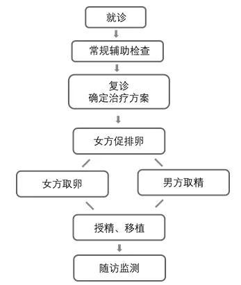 图3 辅助生殖技术常规流程图