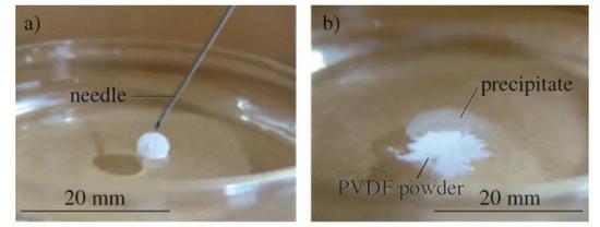 浮在碳酸钠水溶液上的氯化钙溶液的液体弹珠（a），直到被针头破坏，两种液体才会相接触，生成碳酸钙沉淀（b）。图（b）中另一种白色粉末为用于形成液体弹珠的聚偏二氟乙烯。（图片来源：Edward Bormashenko et al。 ChemPhyChem 2009， 10， 654）