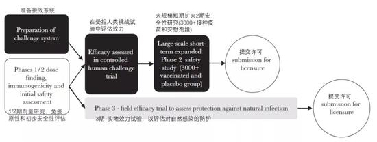 图八：与常规的3期临床试验途径（灰色）相比，通过对照人体挑战试验和评估短期安全性的大型研究（黑色），申请许可的时间可能会提前很多