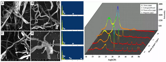 图：不同类型废纸结构表征结果。左：SEM（×1000）和EDS能谱测定结果（A， 办公废纸；B， 餐巾废纸；C， 杂志纸；D， 硬纸板纸）；右：XRD（10-50◦）测定结果（图