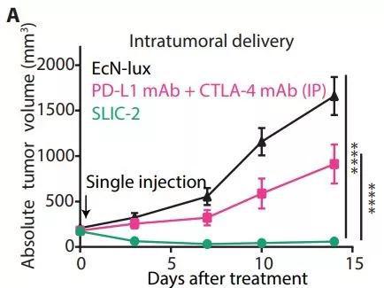益生菌"跑腿"，把免疫疗法安全送到体内