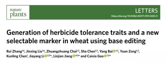  ▲今年早些时候，学术经纬团队报道了研究人员们对小麦基因组的单碱基编辑工作（图片来源：Nature Plants）