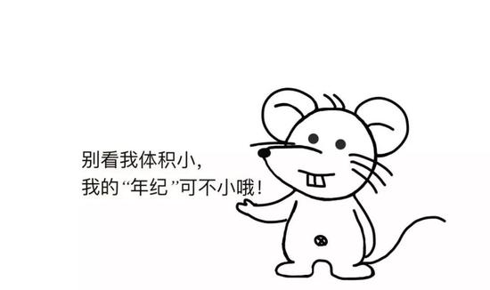 （绘图：任丹丹）