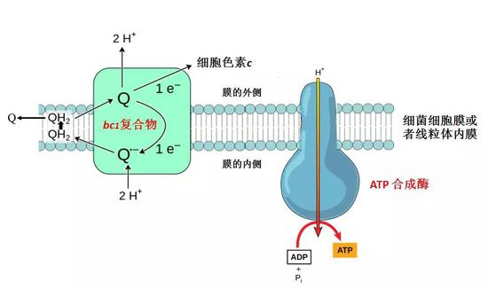 （图片来源：作者提供）