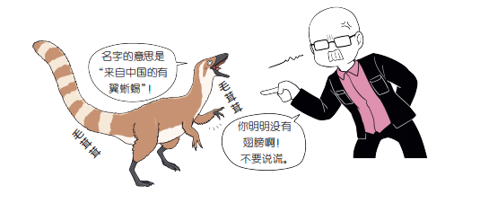 虽然名字里有鸟,但它并不是鸟