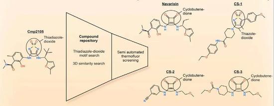  ▲与CCR7变构口袋特异性结合的5种小分子配体（图片来源：参考资料[1]）