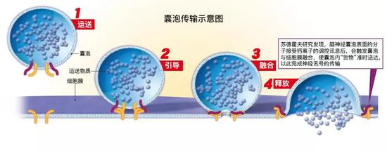 （硅谷洞察制图）