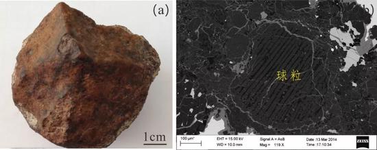 图1.普通球粒陨石的手标本照片和背散射电子图像（来自国家天文台月球与深空探测研究部的蔡司Supra-55场发射扫描电子显微镜）