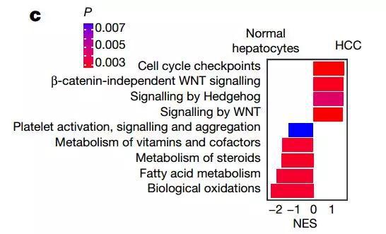  ▲研究人员们找到了在正常组织和肝癌组织中有不同表达的基因（图片来源：参考资料[1]）