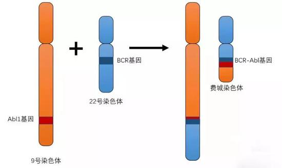 glivec:格列卫:一个神药的传奇——愿病者有其药