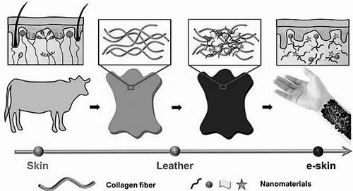 基于皮革的电子皮肤设计原理示意图