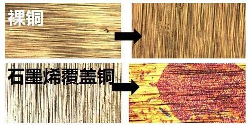 图3 石墨烯涂层加速金属铜的腐蚀过程（裸铜和石墨烯覆盖金属铜腐蚀前后的对照）