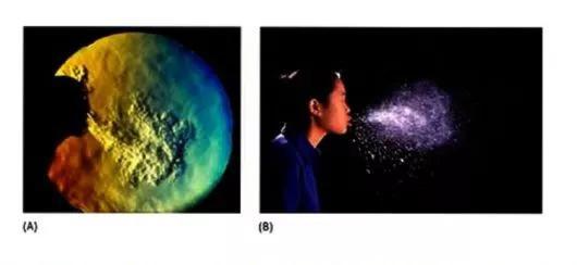 （A）人咳嗽的Schlieren图像（使用由空气密度差异引起的光折射进行可视化），以及（B）人打喷嚏的闪光灯照片| Gary S Settles， Andrew Davidhazy