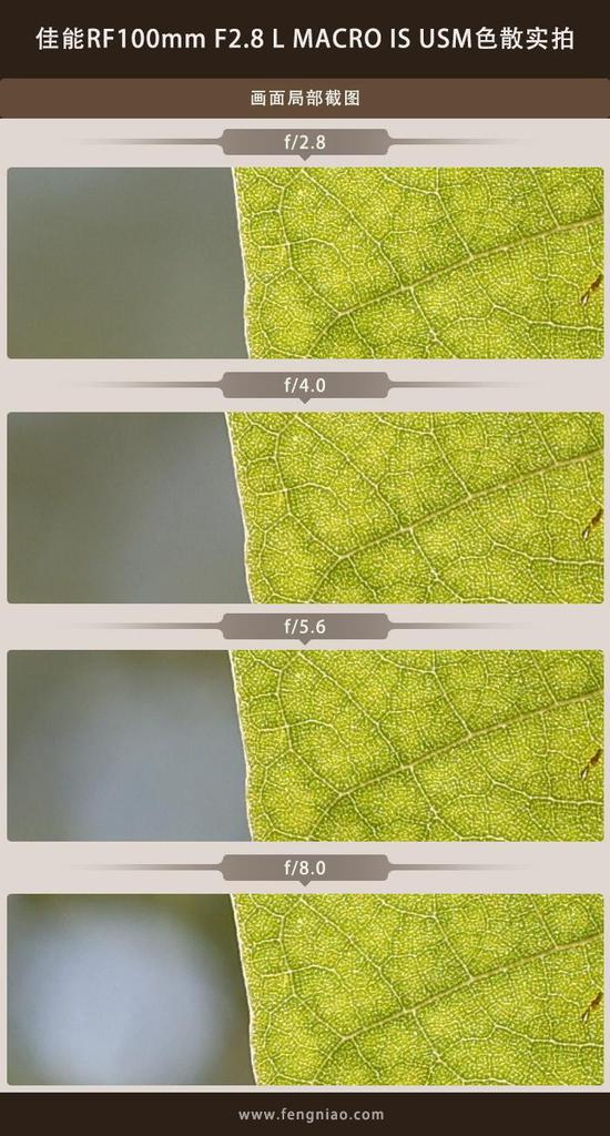 新浪科技综合|最大1.4倍放大倍率 佳能RF100mm F2.8 L MACRO IS USM评测