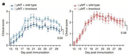▲模拟人类多发性硬化症的小鼠模型中，删除Gpr174后，雌性小鼠（红色）不受影响，雄性小鼠（蓝色）的症状加剧（图片来源：参考资料[1]）