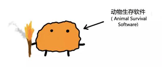 人类我们的故事