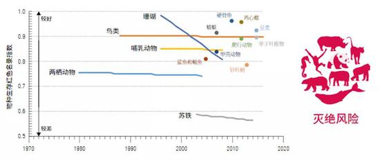 在人类活动中艰难生存的物种。两栖动物生存堪忧，珊瑚的衰退异常刺目。