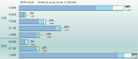 图2。 由HPV不同型引起的年新增癌症数量及比例（美国CDC根据2013-2017年数据估算）。HPV造成的癌症中80%由16和18两种型导致的。