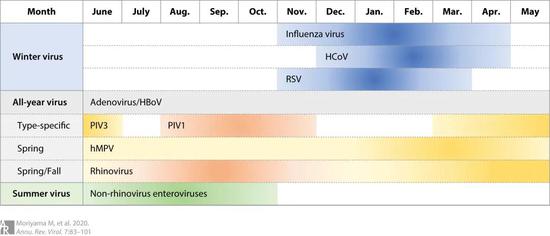 不同类型的呼吸道病毒流行程度的季节性变化