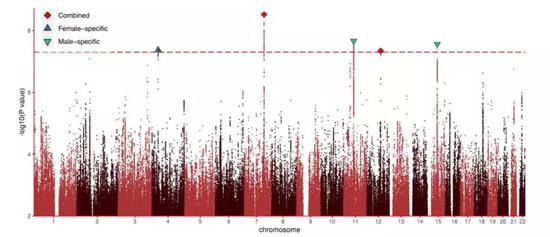 同性性行为GWAS的曼哈顿图图源：Science