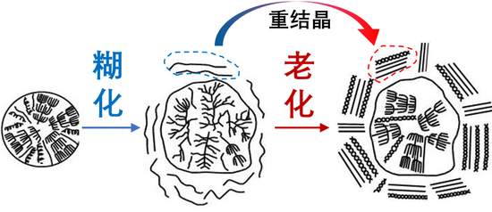 淀粉糊化与重结晶示意图来源 